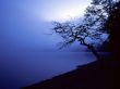 Details for the 'Lake' free image, background, wallpaper