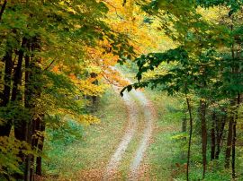 Tree way christian wallpaper, christian background