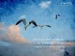 Details for the '1 Timothy 4:12' free image, background, wallpaper