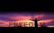 Details for the 'Celebrate Freedom' free image, background, wallpaper