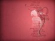 Details for the '1 Timothy 4:12' free image, background, wallpaper