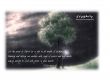 Details for the 'Colossians 3:16' free image, background, wallpaper