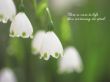 Details for the 'More To Life' free image, background, wallpaper