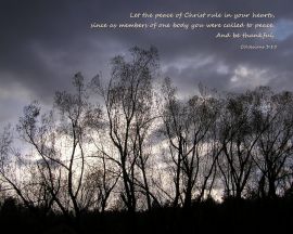 Colossians christian wallpaper, christian background