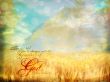 Details for the 'The world' free image, background, wallpaper