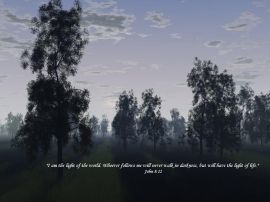John 8:12 trees christian wallpaper, christian background