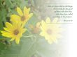Details for the 'Romans 8:28' free image, background, wallpaper