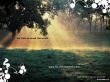 Details for the 'For God so loved' free image, background, wallpaper