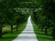 Details for the 'Psalm 119:105' free image, background, wallpaper