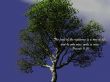 Details for the 'Proverbs 11:30' free image, background, wallpaper