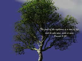 Proverbs 11:30 christian wallpaper, christian background