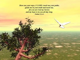 Psalm 25:4 christian wallpaper, christian background