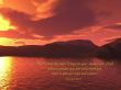 Details for the 'Jeremiah 29' free image, background, wallpaper