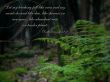Details for the 'Deuteronomy 32:2' free image, background, wallpaper