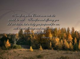 Hebrews 10:5-6 christian wallpaper, christian background