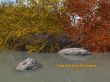 Details for the 'Psalm 42:2' free image, background, wallpaper