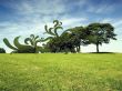 Details for the 'Abstract ' free image, background, wallpaper