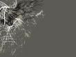 Details for the 'Freed by Grace' free image, background, wallpaper