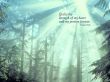 Details for the 'Psalm 73' free image, background, wallpaper