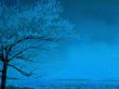Details for the 'Blue tree' free image, background, wallpaper