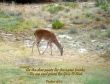 Details for the 'Psalm 42 II' free image, background, wallpaper