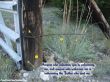 Details for the 'Matthew 10:40' free image, background, wallpaper