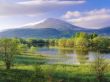 Details for the 'After rain' free image, background, wallpaper