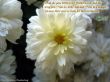 Details for the 'Luke 2:7' free image, background, wallpaper