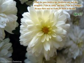 Luke 2:7 christian wallpaper, christian background