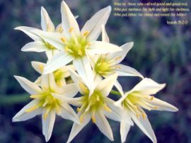 Isaiah 5:20 christian wallpaper, christian background