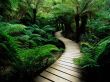 Details for the 'Way' free image, background, wallpaper