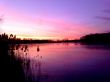 Details for the 'Pink sky' free image, background, wallpaper