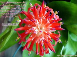 Romans 5:2 christian wallpaper, christian background