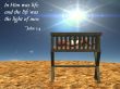 Details for the 'John 1:4' free image, background, wallpaper