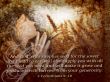 Details for the '2 Corinthians 9:10' free image, background, wallpaper