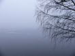 Details for the 'Lake fog' free image, background, wallpaper