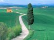 Details for the 'Road in farm' free image, background, wallpaper