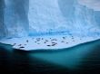 Details for the 'Living on ice' free image, background, wallpaper