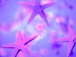 Details for the 'Star fish' free image, background, wallpaper