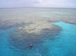Details for the 'Coral' free image, background, wallpaper