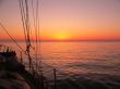 Details for the 'Sunrise at sea' free image, background, wallpaper