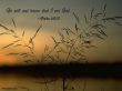 Details for the 'Psalm 46:10' free image, background, wallpaper
