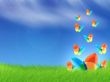 Details for the 'Butterfly - msn' free image, background, wallpaper