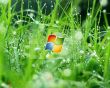 Details for the 'Vista green' free image, background, wallpaper