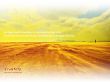 Details for the 'In a Desert Land' free image, background, wallpaper