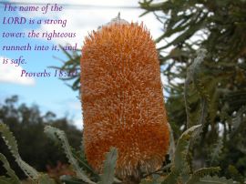 Proverbs 18.10 christian wallpaper, christian background