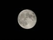 Details for the 'Moon' free image, background, wallpaper