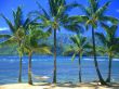 Details for the 'Kauai - Hawaii' free image, background, wallpaper