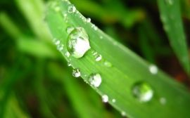 After the Rain christian wallpaper, christian background