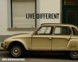 Details for the 'Live Diferent' free image, background, wallpaper
